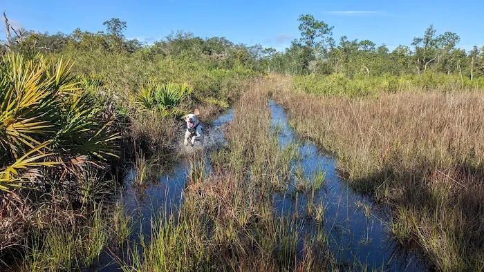 Wood Duck Camp Picture 1