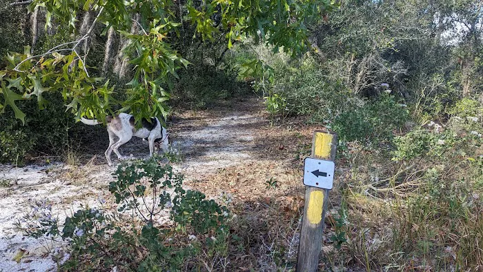 Wood Duck Camp Picture 3