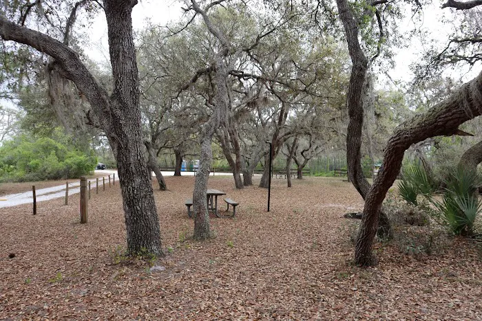 Walk in Water Campground Picture 7