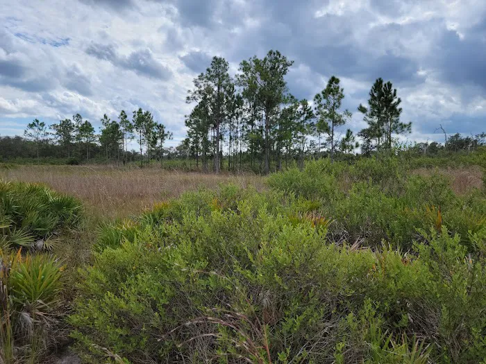 Walk in Water Campground Picture 1