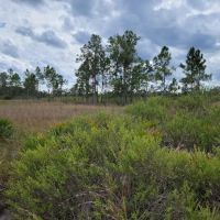 Walk in Water Campground ico