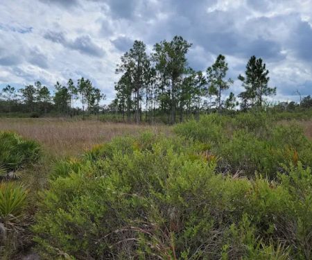 Walk in Water Campground