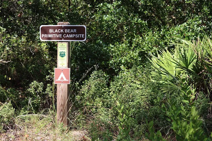 Black Bear Campsite Picture 2