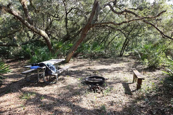 Black Bear Campsite Picture 3