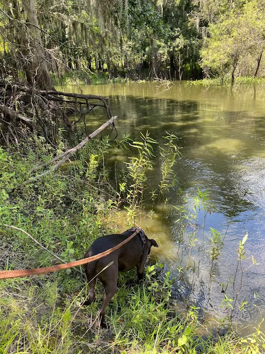 Joe Overstreet Landing Picture 4
