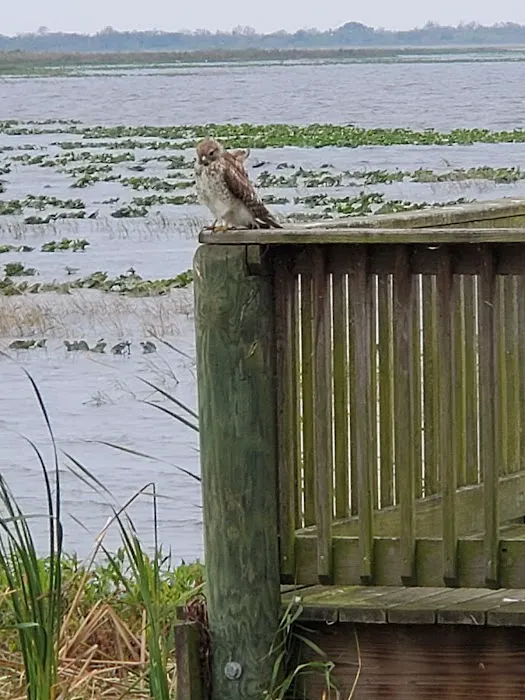 Joe Overstreet Landing Picture 10