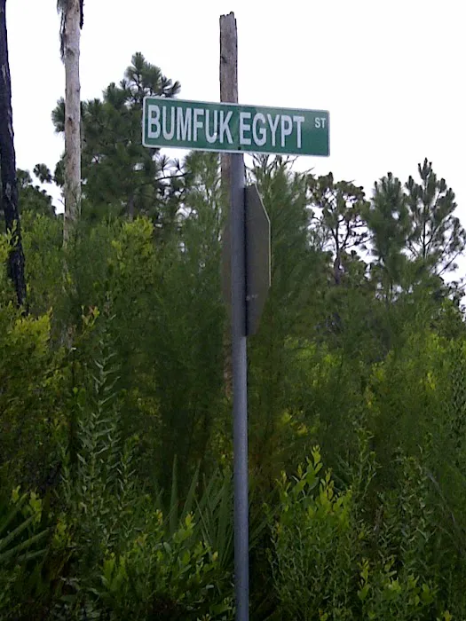 Whispering Pines Estate Picture 2