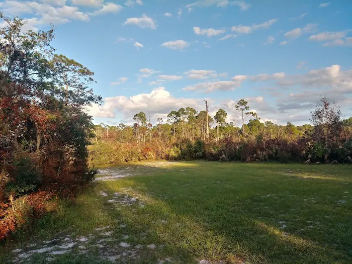 Lake Wales Ridge SF Reedy Creek Campground Picture 5