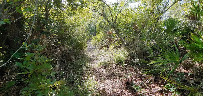 Lake Wales Ridge SF Reedy Creek Campground Picture 8