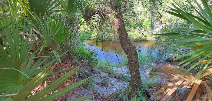 Lake Wales Ridge SF Reedy Creek Campground Picture 10