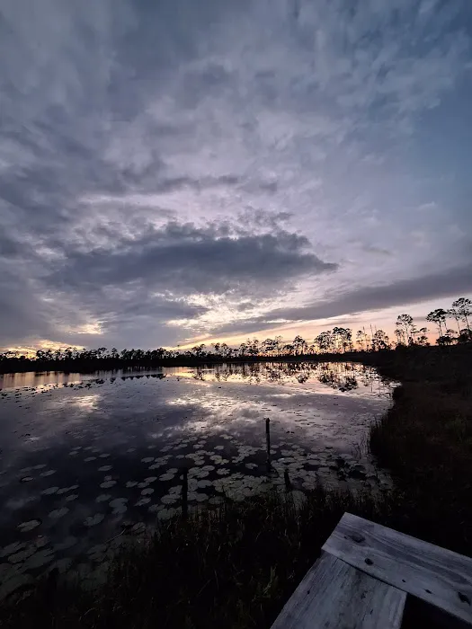 Lake Wales Ridge SF Reedy Creek Campground Picture 9