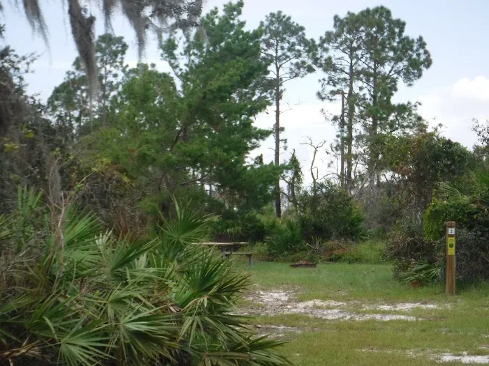 Lake Wales Ridge SF Reedy Creek Campground Picture 6