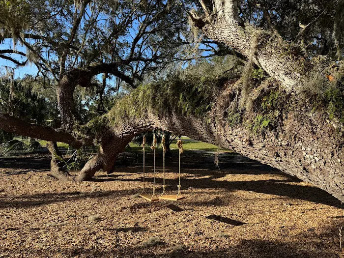 Peace River Oaks Picture 2