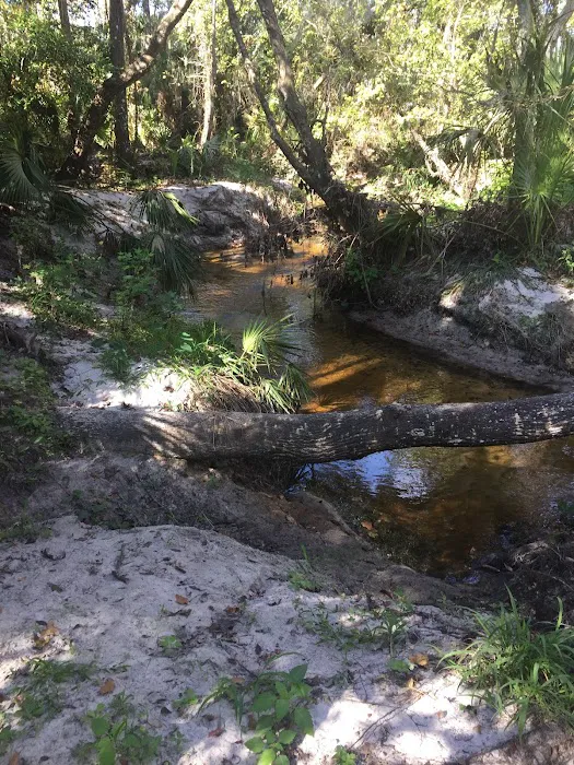 YMCA Camp Cristina Picture 7