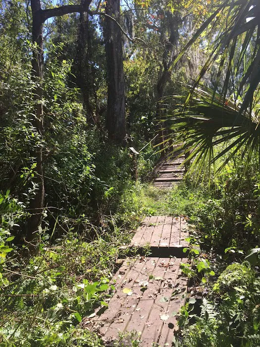 YMCA Camp Cristina Picture 4