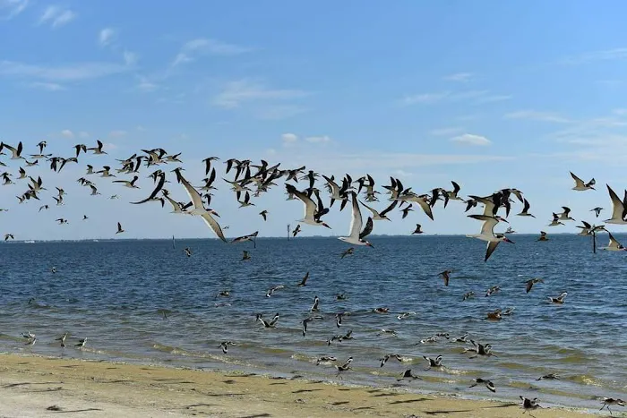 Outdoor Recreation- MILITARY ID CARD HOLDER ONLY Picture 8