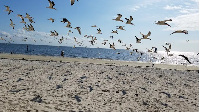 FamCamp Office MacDill AFB RV Park Picture 10