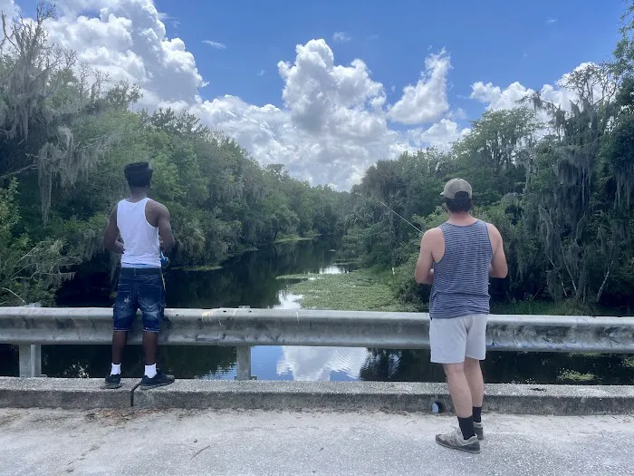 Alafia River State Park- Campground Picture 5