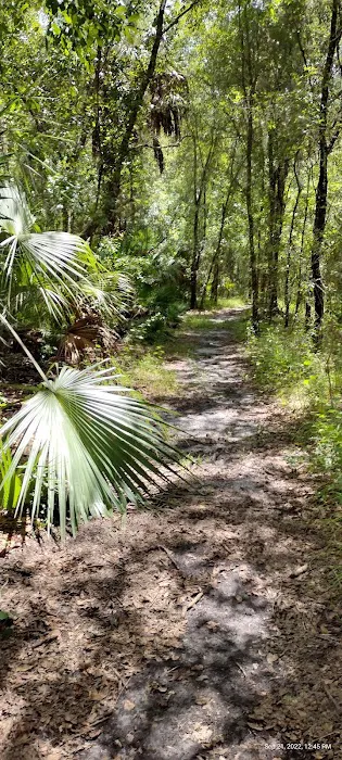 Alafia River State Park- Campground Picture 9