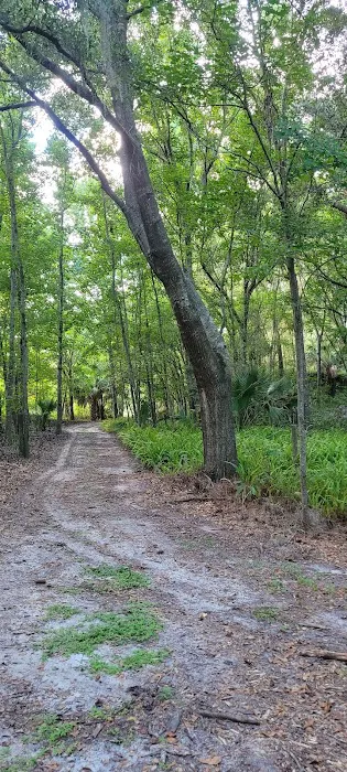 Alafia River State Park- Campground Picture 2