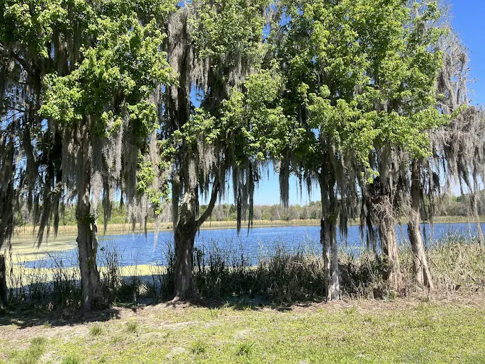Alafia River State Park- Campground Picture 1