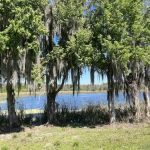 Alafia River State Park- Campground