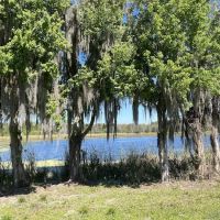 Alafia River State Park- Campground ico