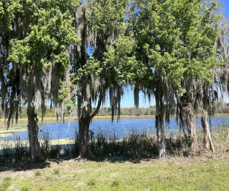 Alafia River State Park- Campground