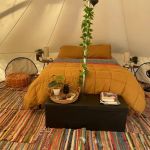 Comfy Camping Glamping Rentals at Alafia River State Park