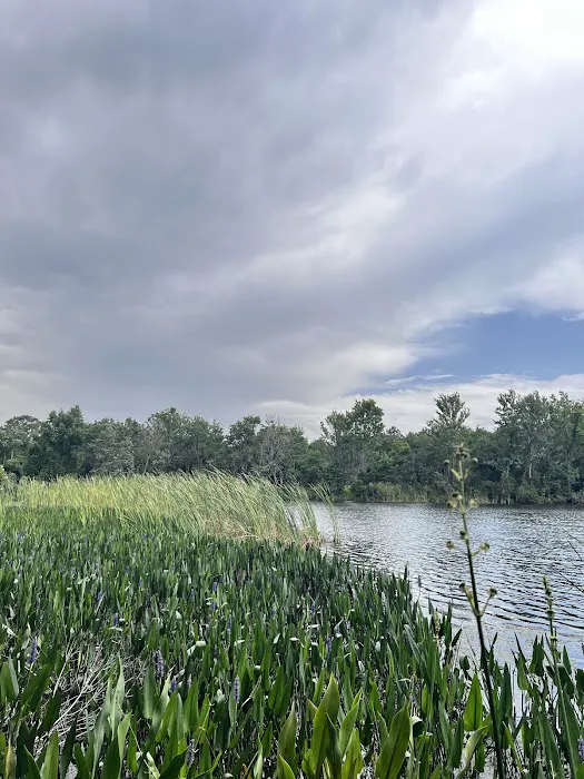 Comfy Camping Glamping Rentals at Alafia River State Park Picture 10