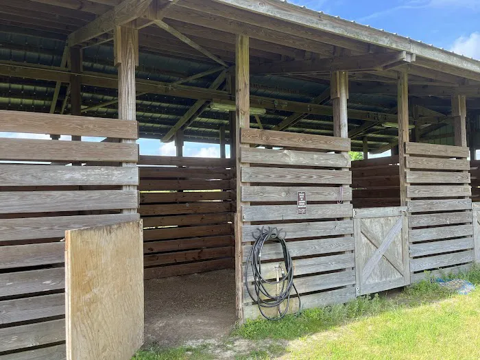 Comfy Camping Glamping Rentals at Alafia River State Park Picture 5