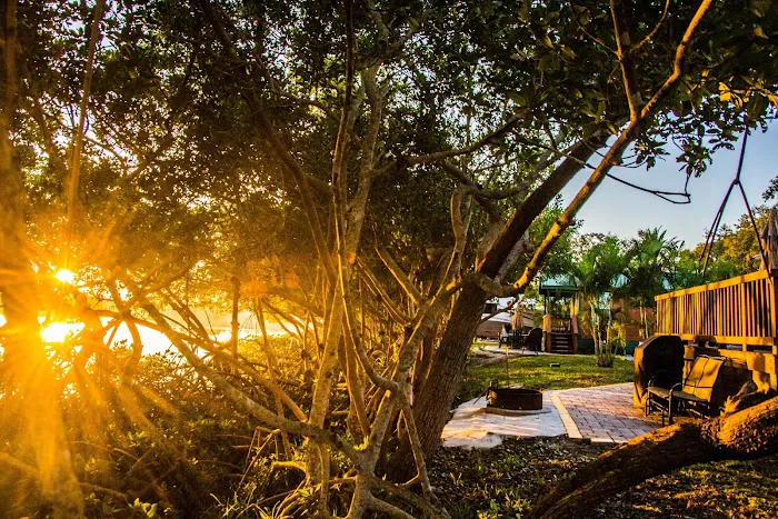 St. Petersburg / Madeira Beach KOA Holiday Picture 9