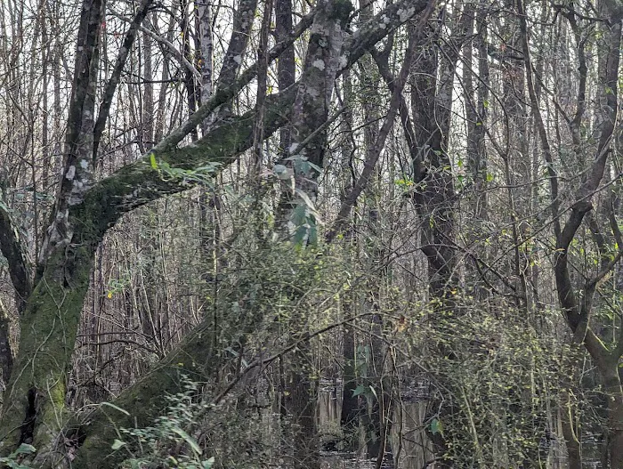 Cotton Lake Ramp Picture 10