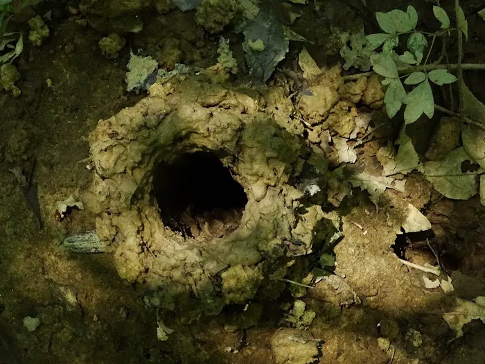 Cotton Lake Ramp Picture 1