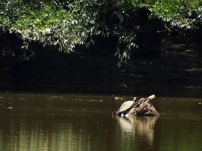 Cotton Lake Ramp Picture 5