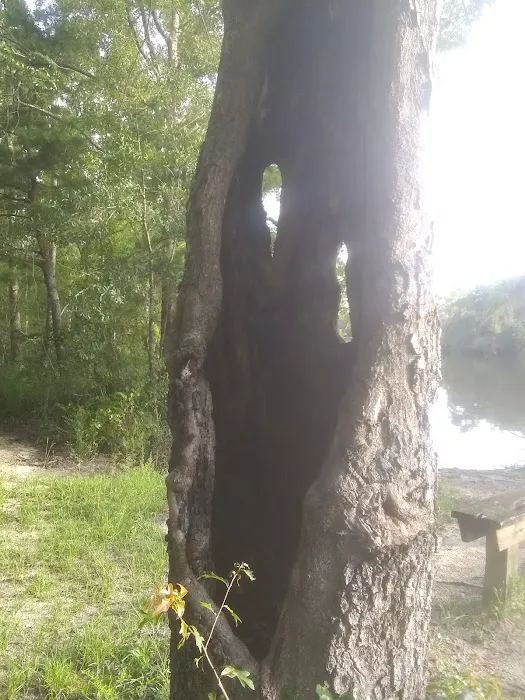 Cotton Lake Ramp Picture 8