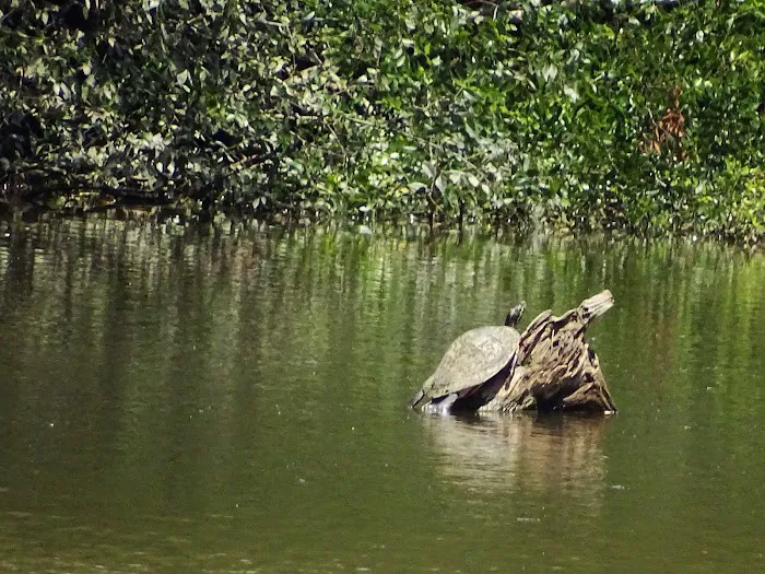 Cotton Lake Ramp Picture 2