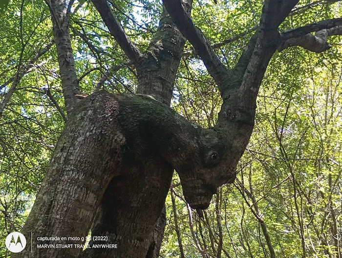 Cotton Lake Ramp Picture 9