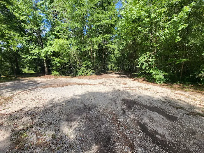 Bogia Boat Ramp Picture 2