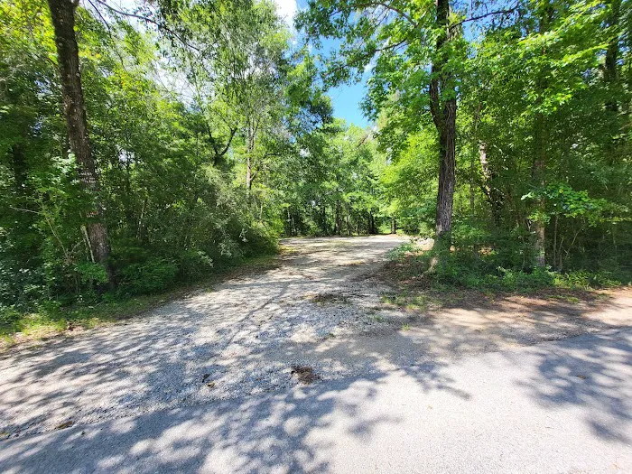 Bogia Boat Ramp Picture 6