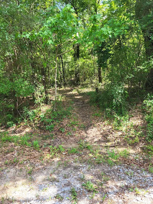 Bogia Boat Ramp Picture 9