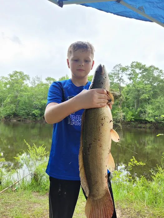 Bluff Springs Recreation Area Picture 6