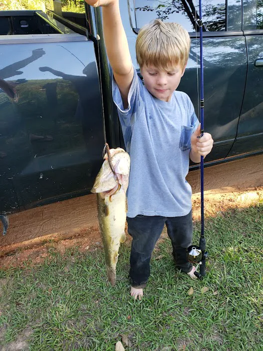 Bluff Springs Recreation Area Picture 5