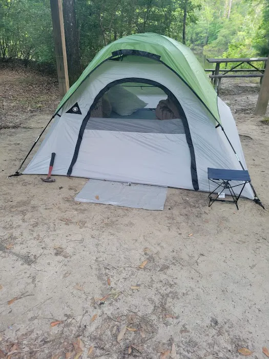 Bluff Springs Recreation Area Picture 7