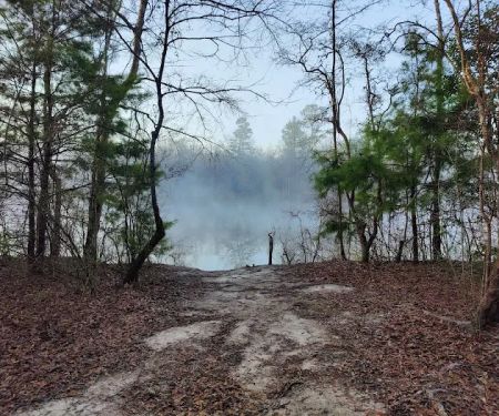 Bluff Springs Recreation Area