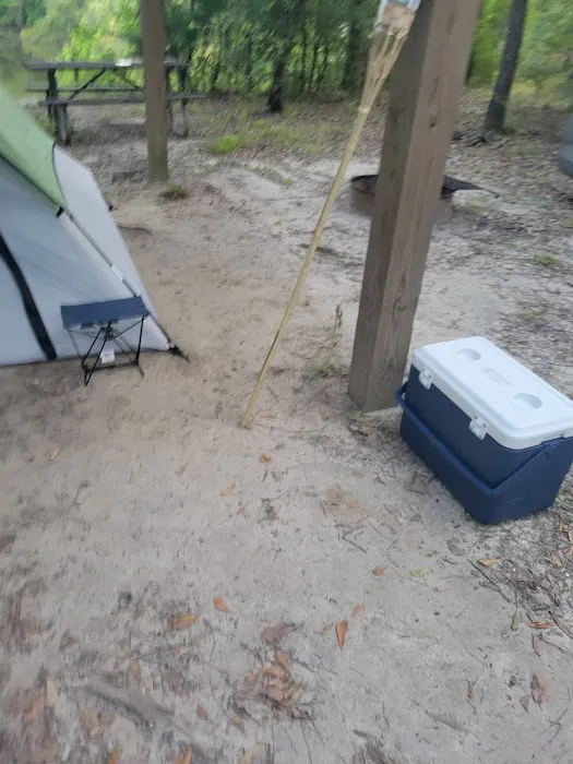 Bluff Springs Recreation Area Picture 4