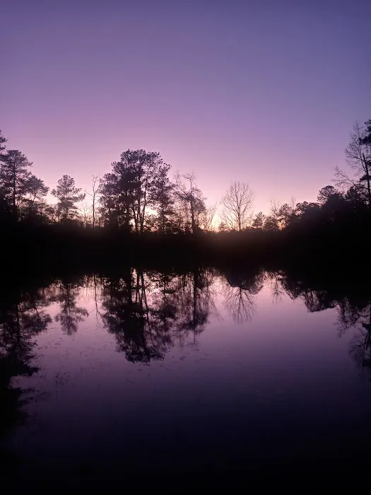 Bluff Springs Recreation Area Picture 9
