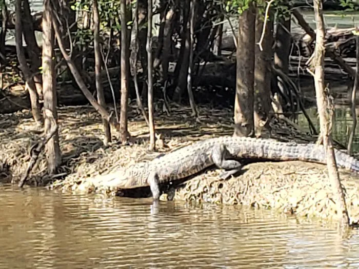Bluff Springs Recreation Area Picture 2