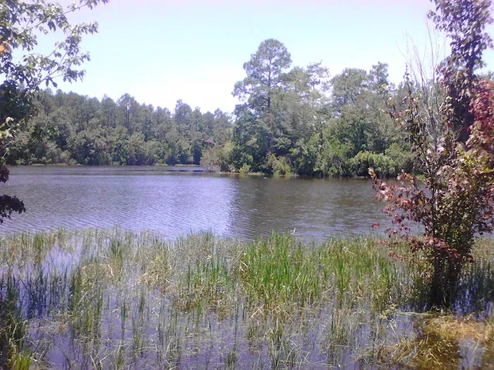 Escambia County Lake Stone Campground Picture 7