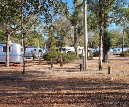 Mystic Springs Cove Inc